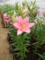 [4224 Vendome No201.JPG]